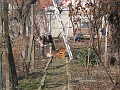 20120330_Acasa_Primavara (55)